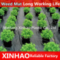 PP Ground Cover, PP Weed Mat, PP Weed Control Mat